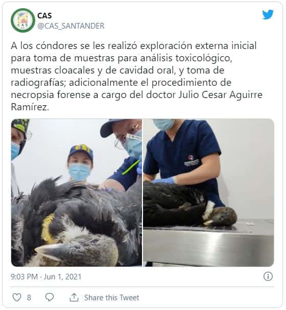 Foto: @CAS_SANTANDER (Twitter)