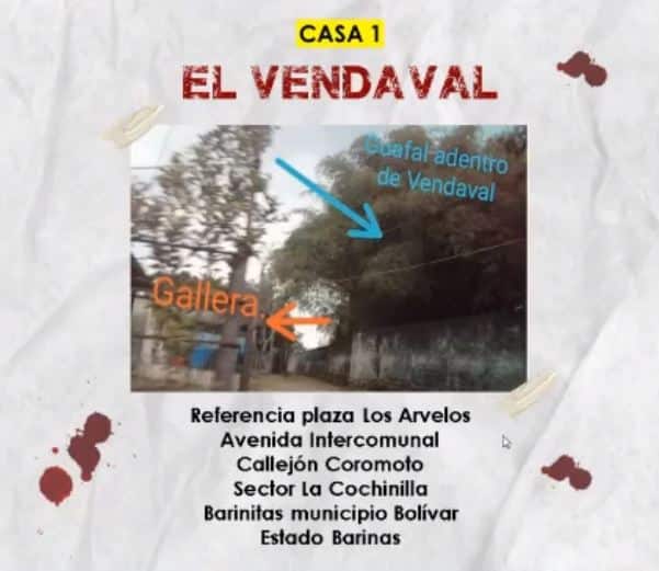 Foto: captura video @Fundaredes (Twitter)