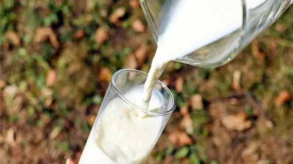 ¿La leche es recomendable o perjudicial para la salud?