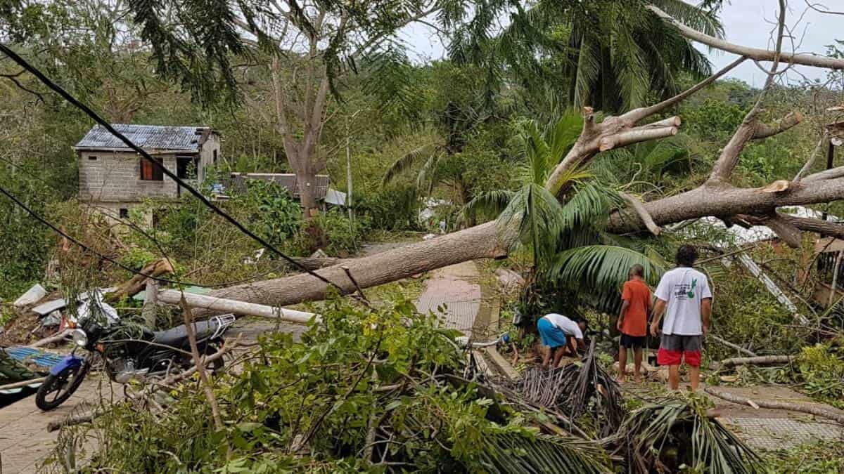 Foto: AFP. Cruz Roja Colombiana habilitó línea para atender a afectados por Iota