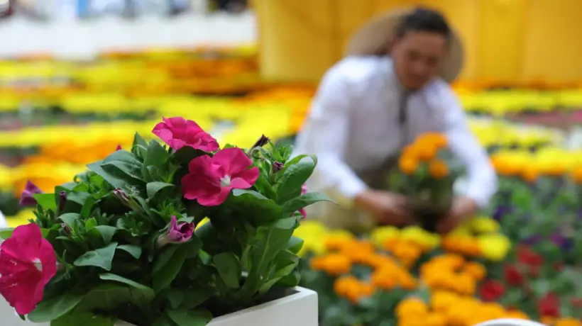 Jardín del Encanto: la experiencia de meditación y floricultura que ofrece el centro comercial Santafé