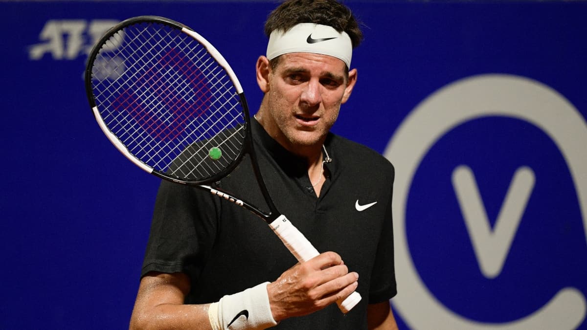 Juan Martín del Potro