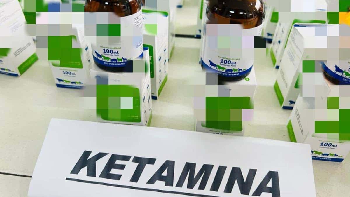 Cayó cargamento de anestésico para fabricar droga / Foto: cortesía. Cayó cargamento de anestésico para fabricar droga