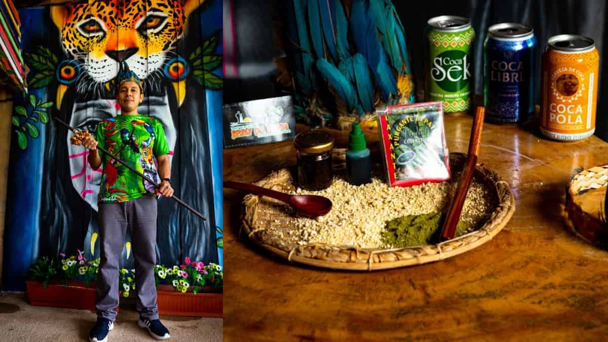 Coca: diferencia entre coca y cocaína