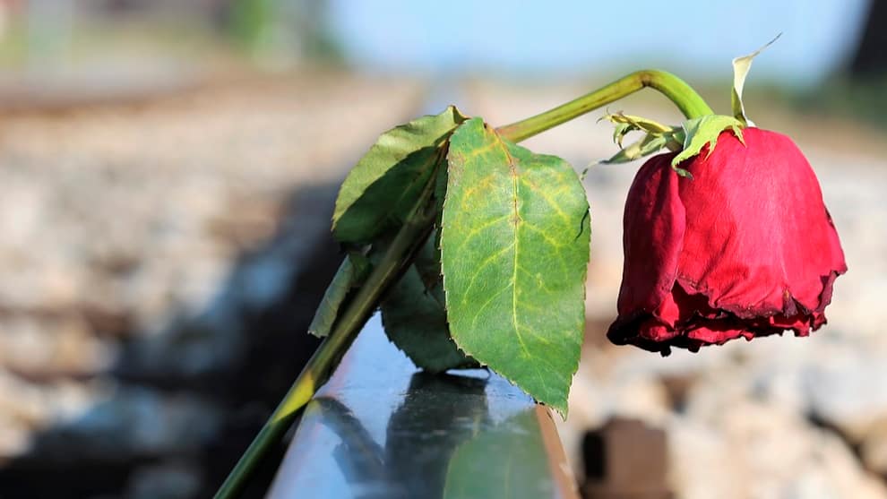 La OMS busca reducir suicidios con la ayuda de Hollywood