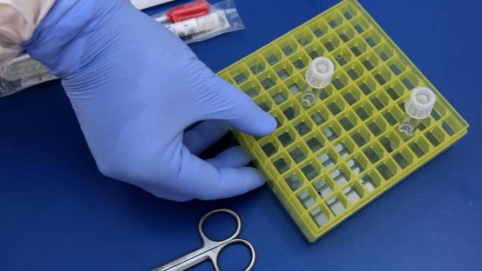 ¿El coronavirus se creó en un laboratorio de Wuhan? Lo que dicen los estudios