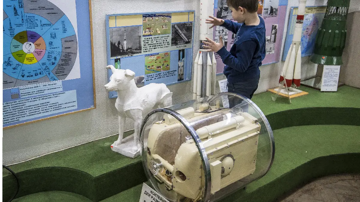 ¿Cuáles fueron los perros más famosos de la historia ?