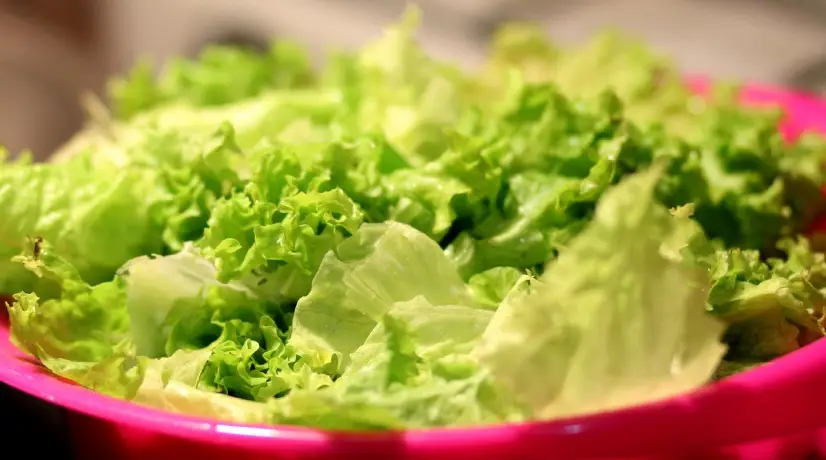Foto: Pixabay ¿Cómo es la manera adecuada de desinfectar la lechuga? Acá el paso a paso