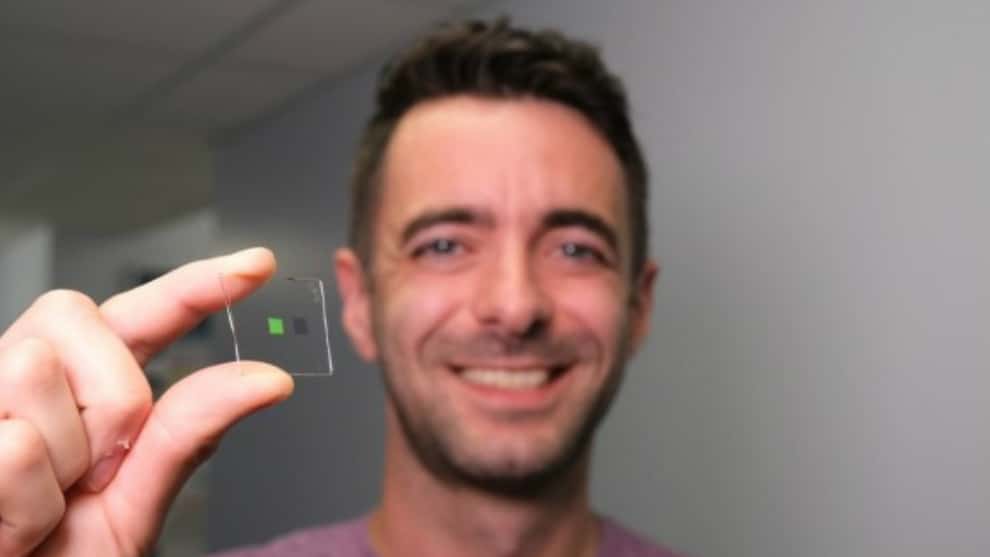 Crean lengua artificial para detectar whiskies falsos