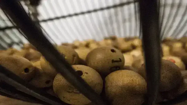 Los números que menos caen en las loterías, según la IA