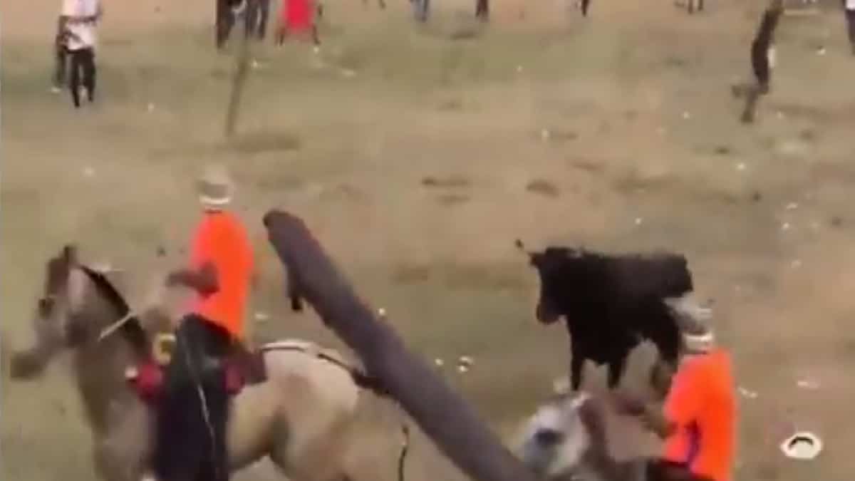 Corralejas en Caucasia despiertan polémica