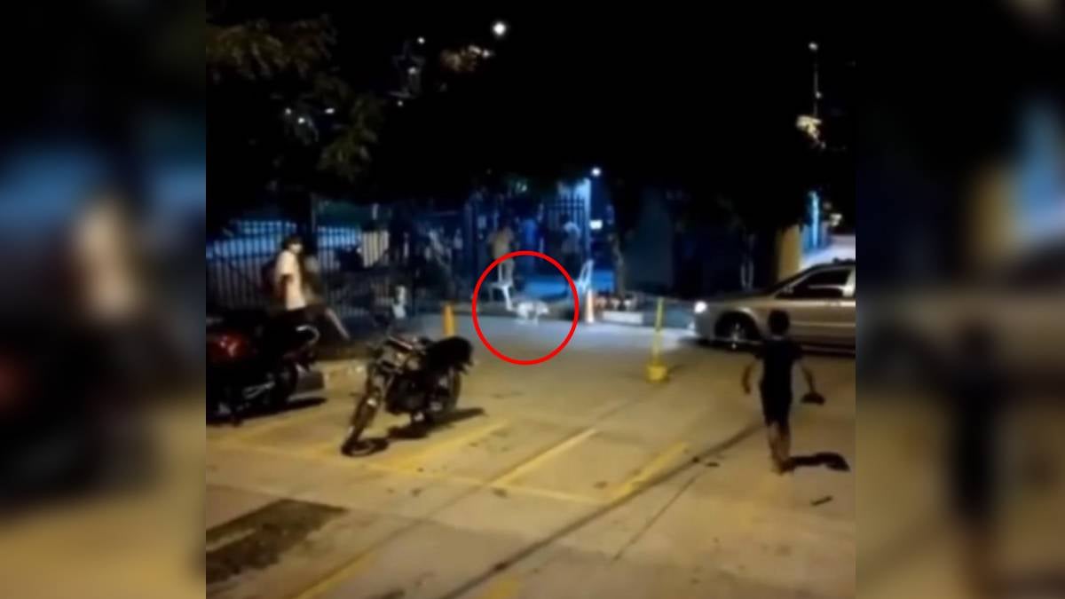Perro perdió un ojo tras recibir brutal golpiza de habitantes en Santa Marta