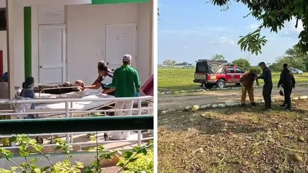 Más de 20 policías fueron atacados por un enjambre de abejas africanas en Florencia