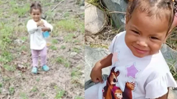 Niña de 2 años desapareció estando a escasos metros de sus padres en Tolima Niña de 2 años desapareció estando a escasos metros de sus padres en Tolima