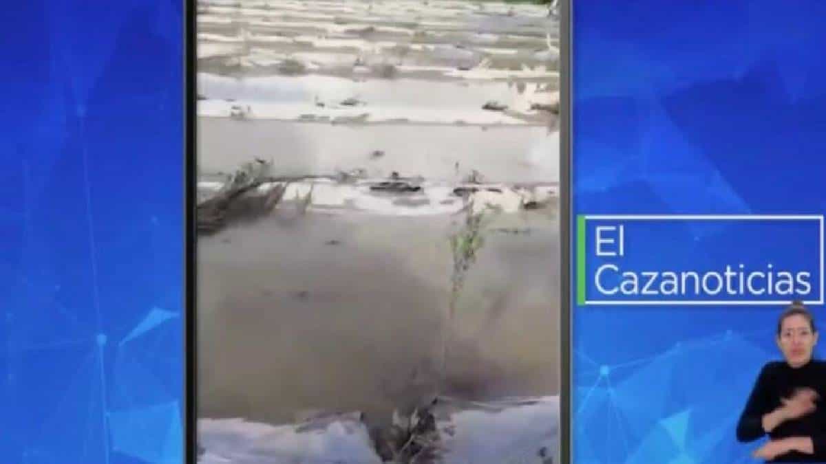 El Cazanoticias: campesinos están perdiendo sus cultivos por inundaciones en Mercaderes, Cauca
