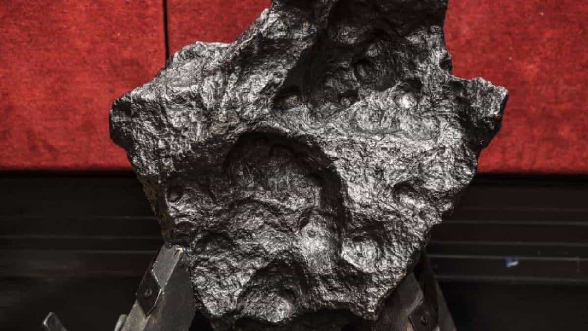 Meteorito hallado en Argelia