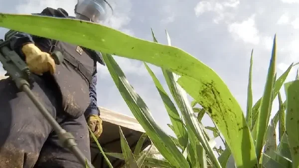 "Que no se instalen más minas antipersonales": militares afectados hacen llamado a los grupos armados