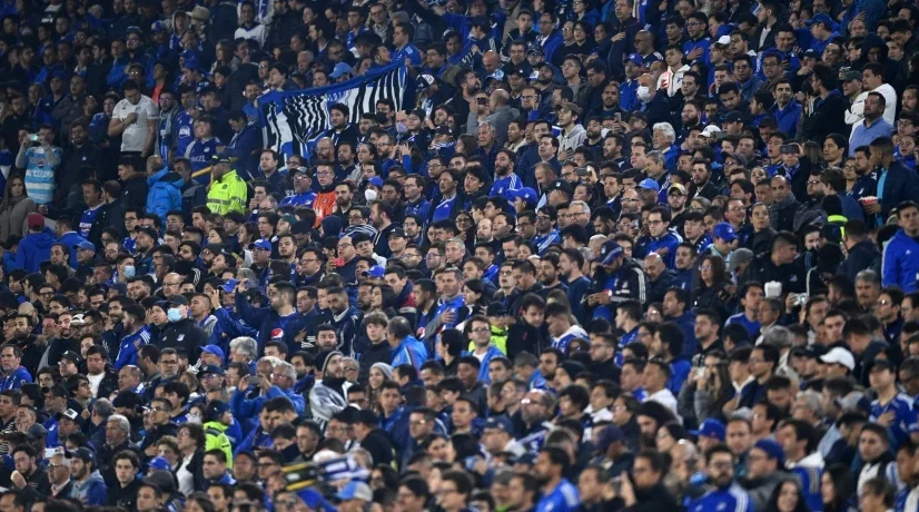 Hinchas de Millonarios