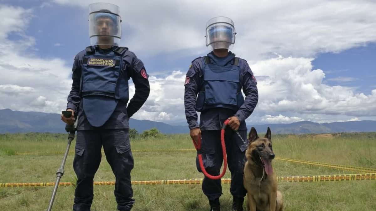 11 municipios serán declarados libres de minas antipersona