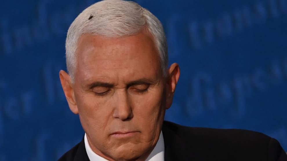 Una mosca se robó el show en el debate entre Pence y Harris