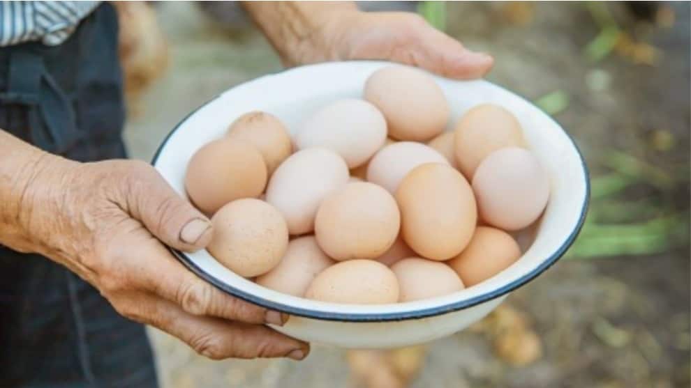 Hombre muere por comer 50 huevos para ganar una apuesta