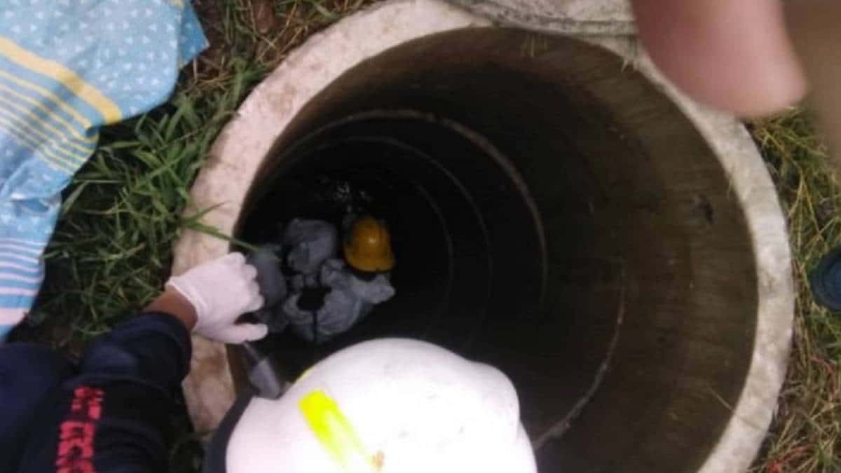 El cuerpo de Franyelis Rodríguez fue hallado en el fondo del pozo séptico de 5 metros