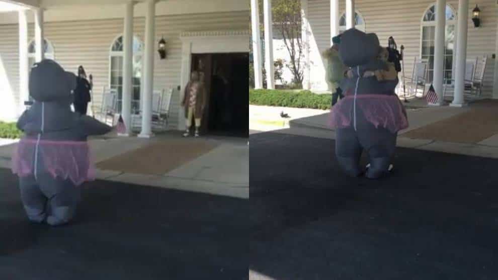 Mujer se disfrazó de hipopótamo para poder abrazar a su madre en cuarentena