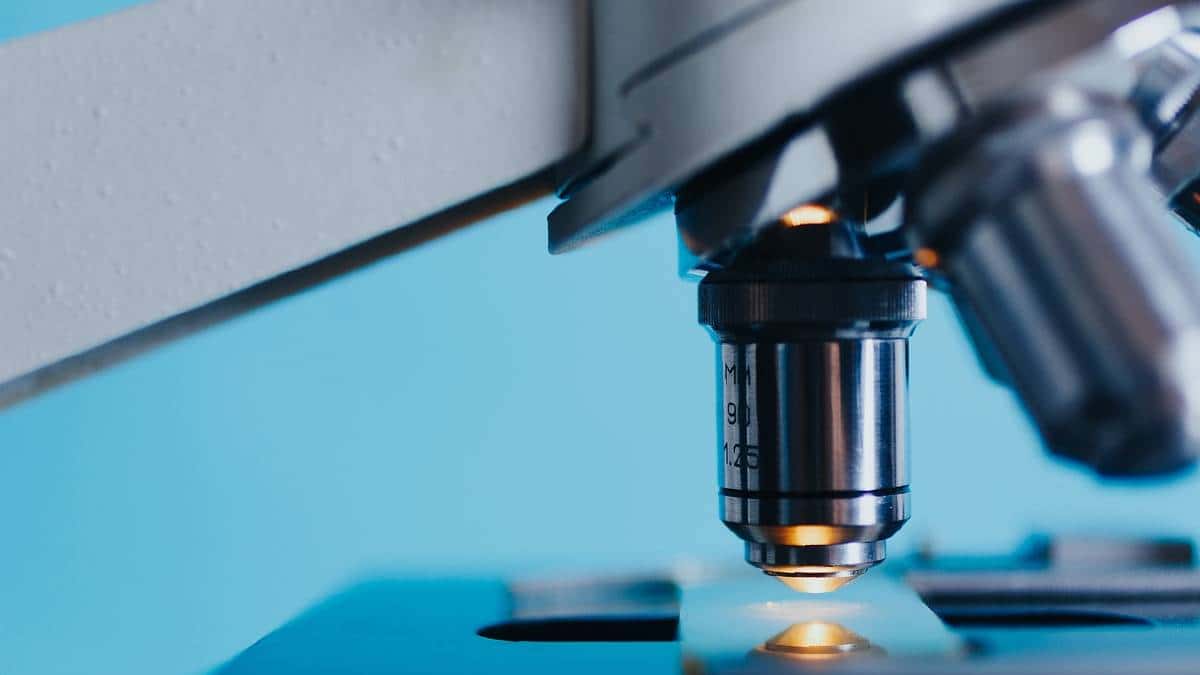 Investigación científica, Foto: / Pixabay Investigación científica