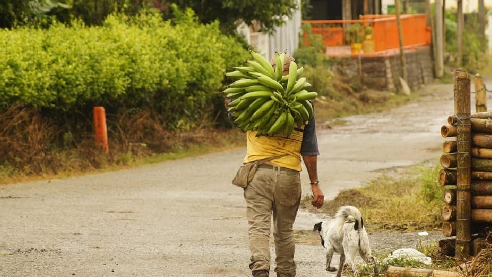 Ayuda a los campesinos del país