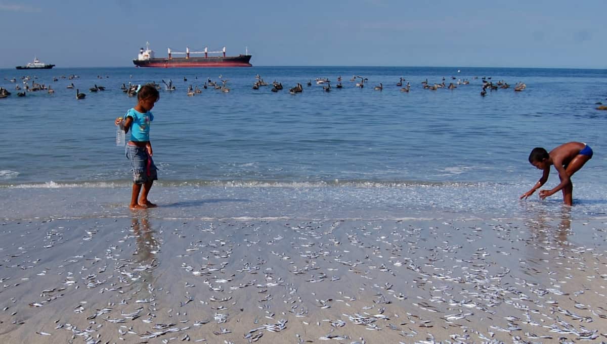 Foto: AFP Bebé en Santa Marta