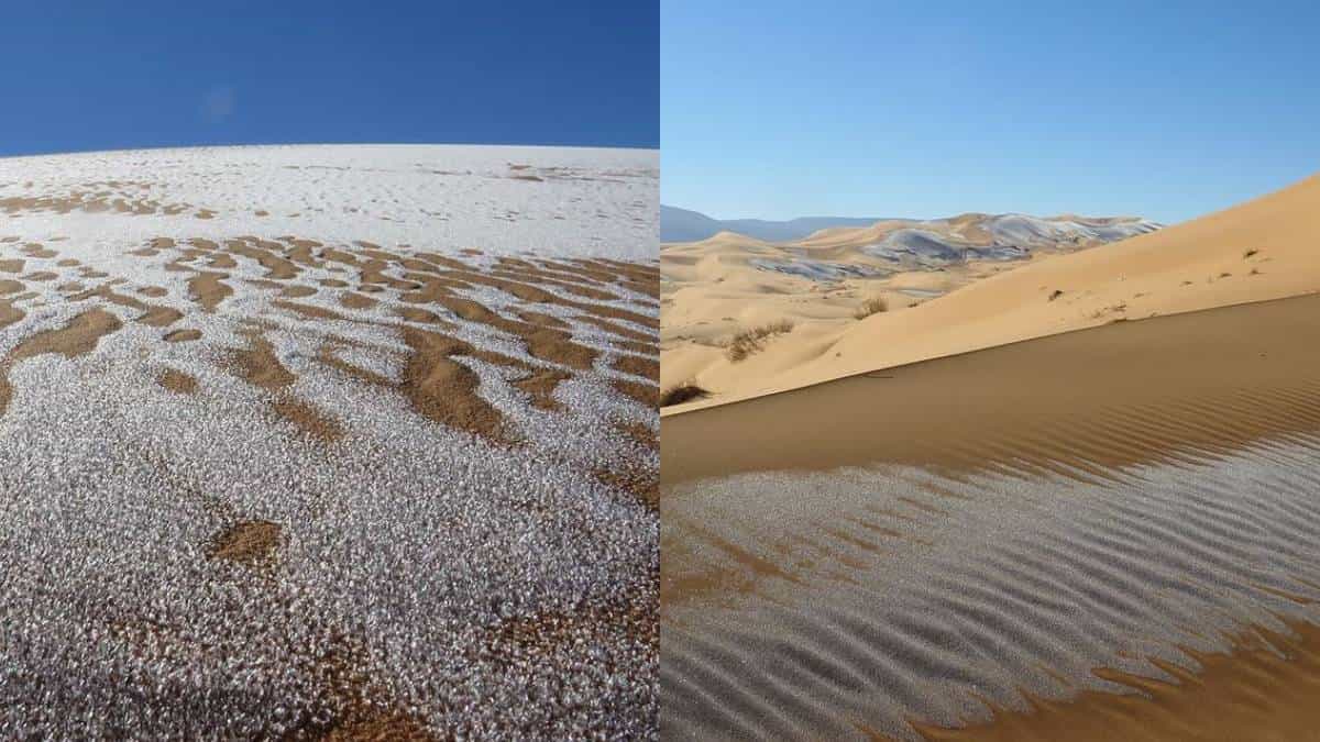 Sorprendentes imágenes dejó nevada en el desierto del Sahara