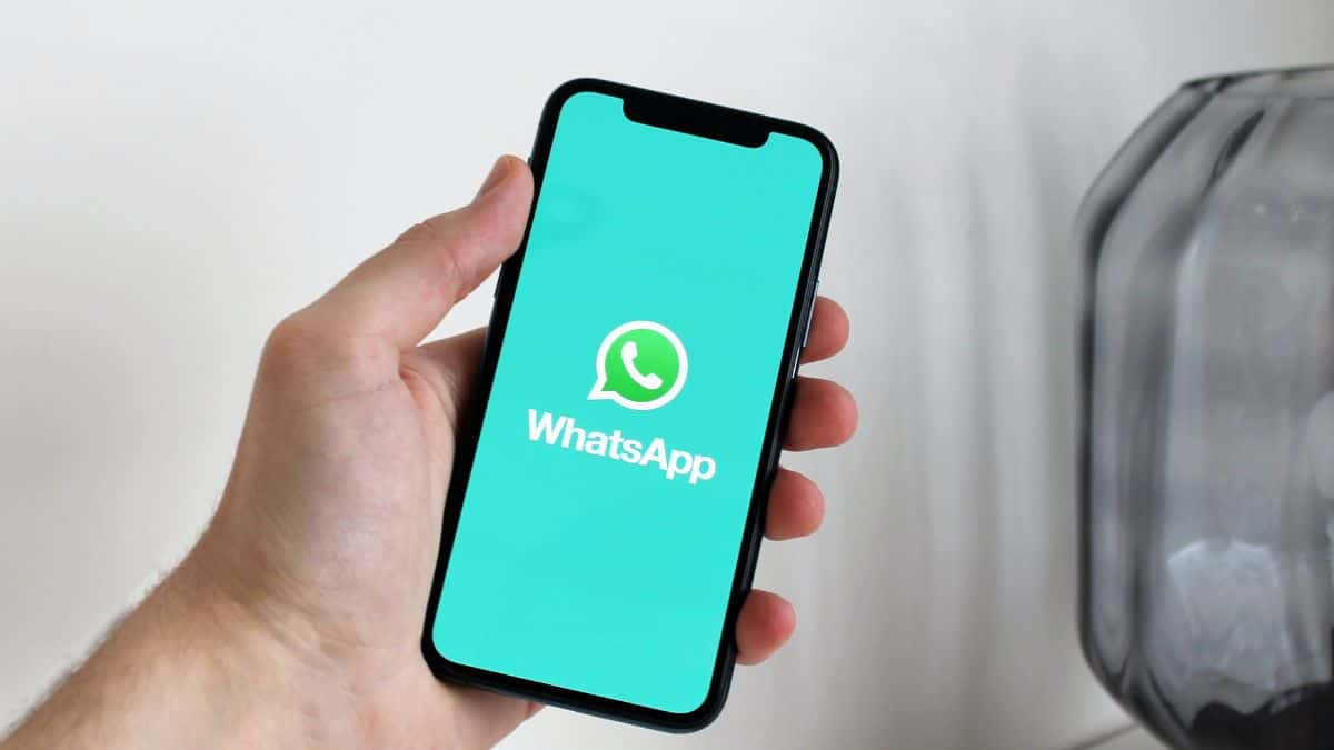 WhatsApp: cómo encontrar chats que no has contestado | Foto: Pexels WhatsApp: cómo encontrar chats que no has contestado