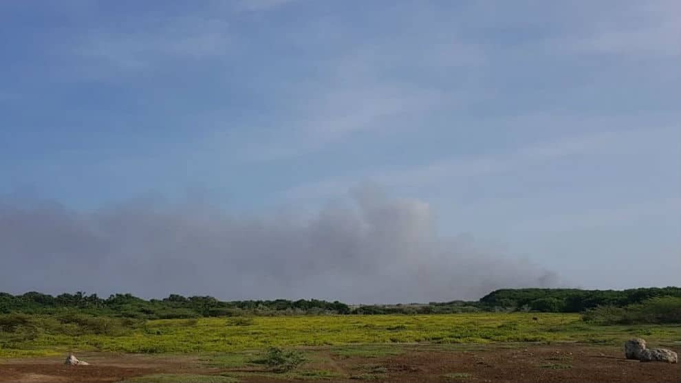 Unos 52 brigadistas atienden el incendio forestal en el Vía Parque Isla de Salamanca