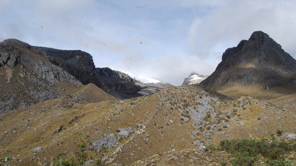 Foto: Parques Nacionales (Twitter)