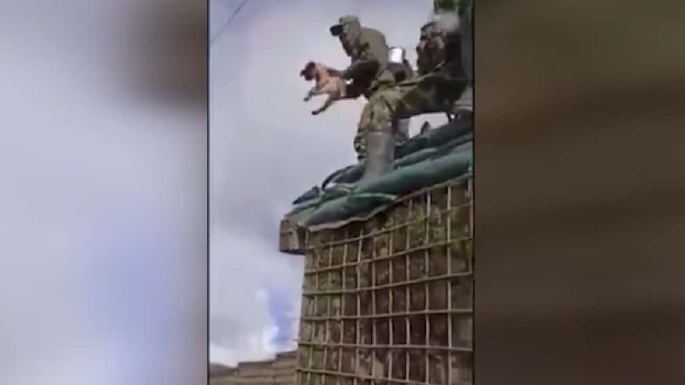 Ejpercito retira a uniformados que lanzaron a perro al vacío