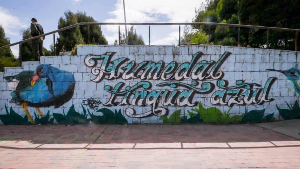 Bogotá declara dos nuevos humedales protegidos para la preservación