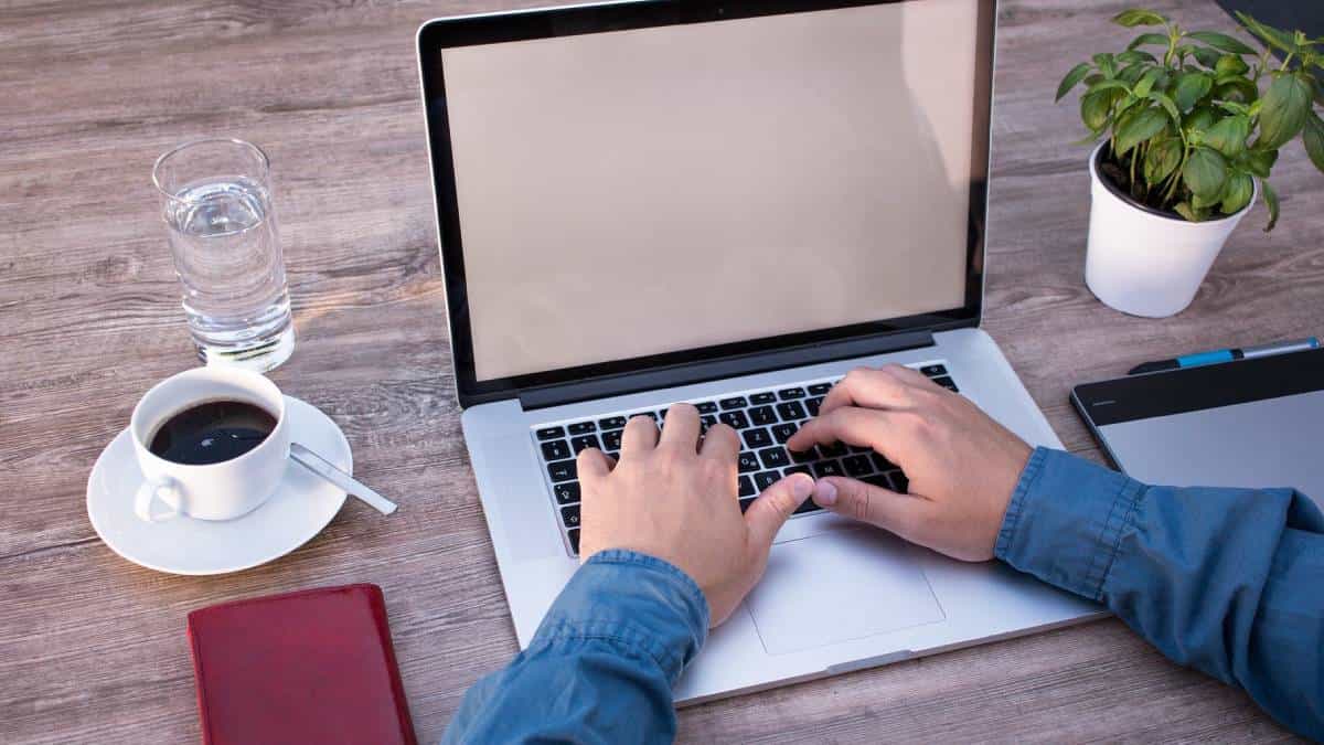 Estas son las nuevas vacantes de empleo que se abren en el país