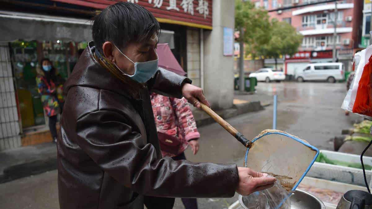 Origen del covid-19 podría ser animal, según estudio científico