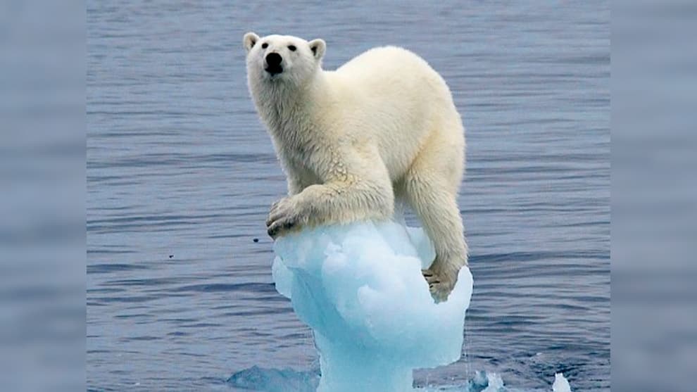 calentamiento global