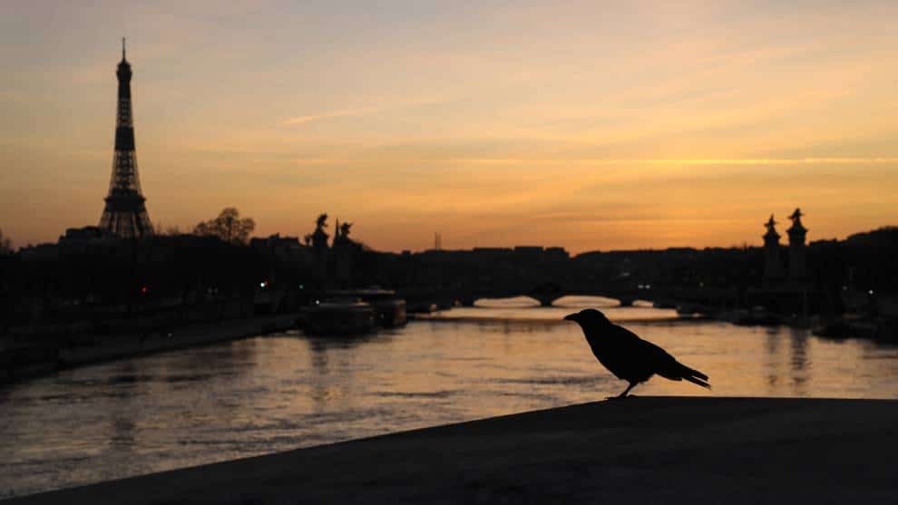 Iniciativa muestra cómo el coronavirus ha cambiado al mundo y sus sonidos