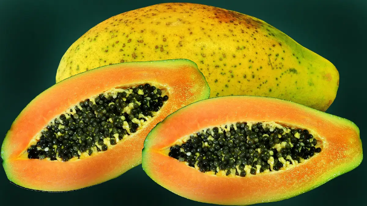 Le explicamos cómo preparar dulce de papaya colombiano.
