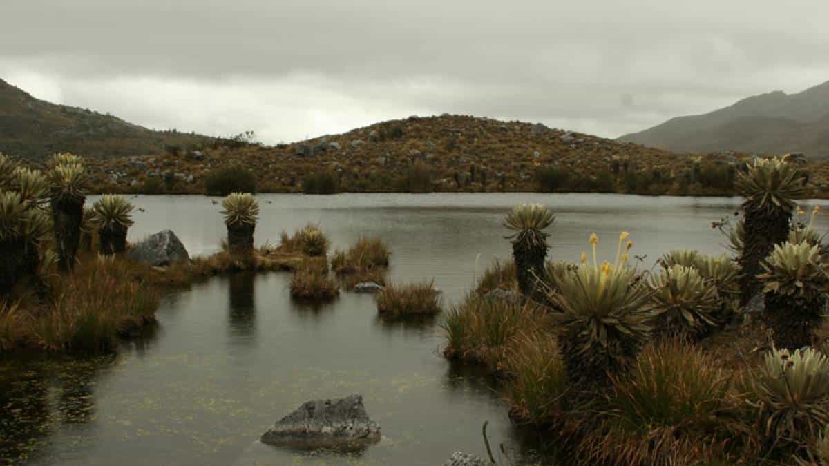 Parque Nacional Natural El Cocuy