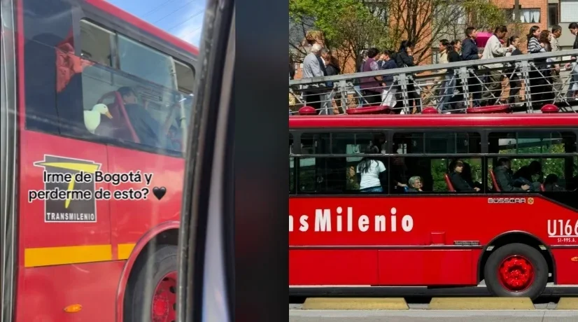Pato fue captado en Transmilenio