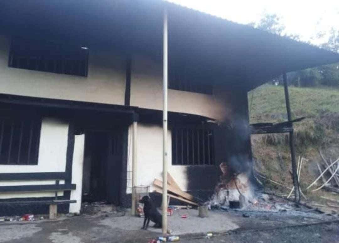 Perrita de familia masacrada acompañó los cadáveres