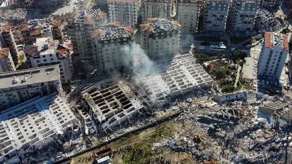 En video: la perseverancia de una madre perruna que salvó a sus cachorros de los escombros en Turquía