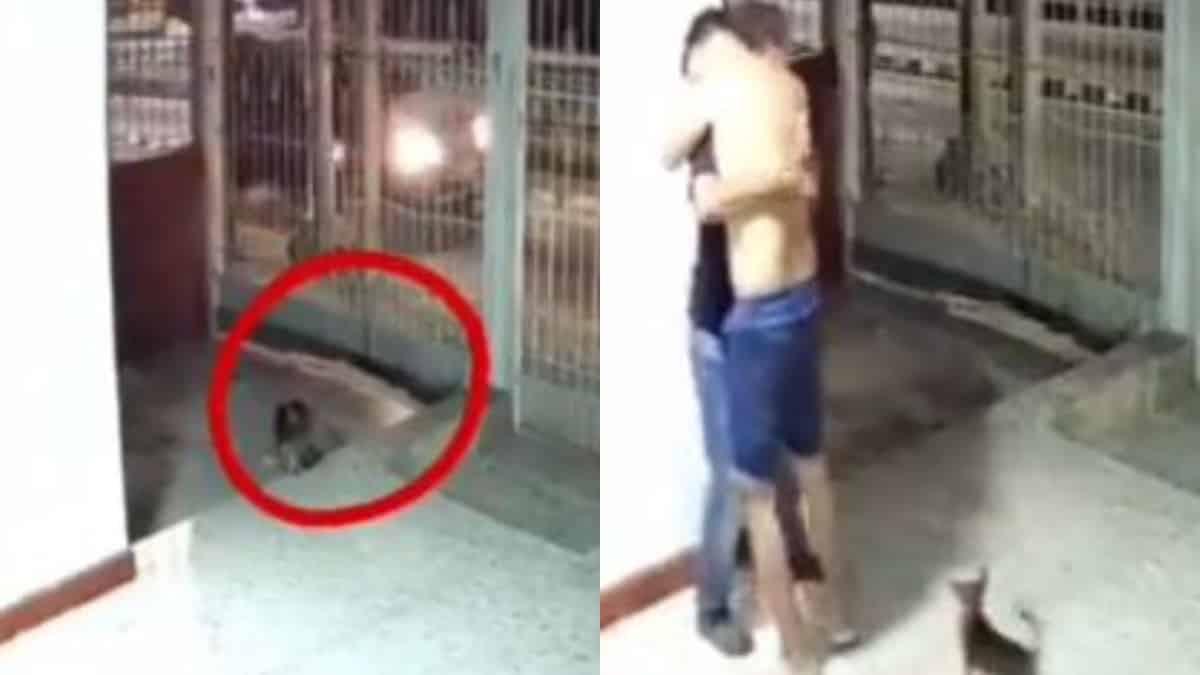 Perro regresó a la casa