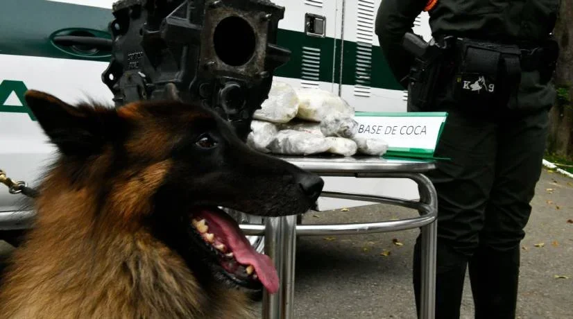 Gustavo Petro sancionó ley que prohíbe uso animales en disturbios