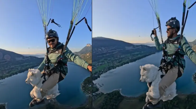 Video: llueven críticas a hombre que voló en parapente con su perro