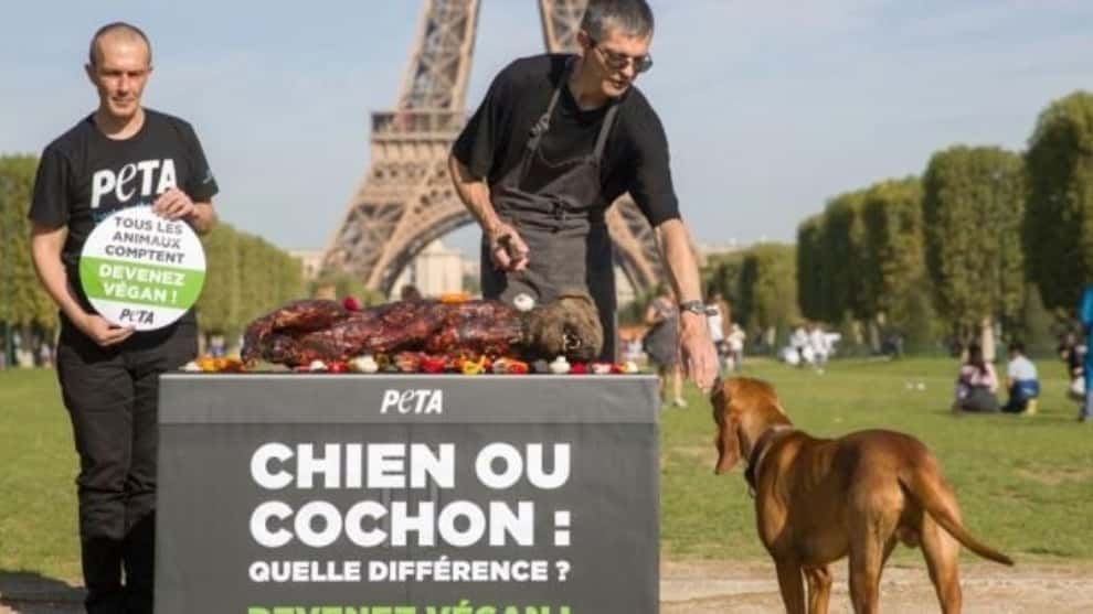 Con un falso 'perro asado’ veganos protestan por el consumo de carne de animales