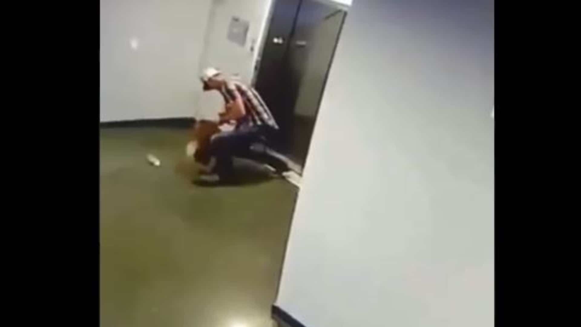 Perro rescatado ascensor: hombre salva un perrito de morir ahorcado